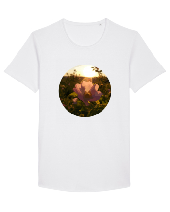 Photo Illustration - macro in the sunset 5 White