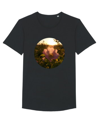 Photo Illustration - macro in the sunset 5 Black
