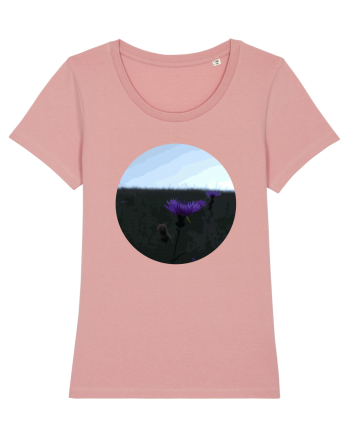 Photo Illustration - macro in the sunset 6 Canyon Pink