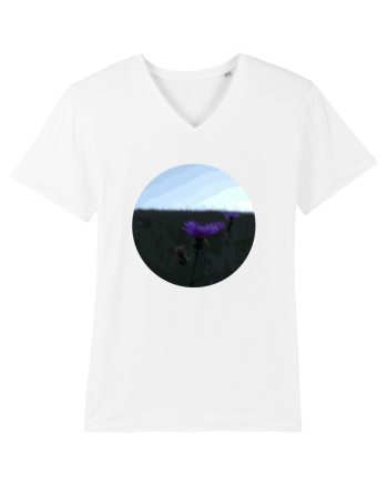 Photo Illustration - macro in the sunset 6 White