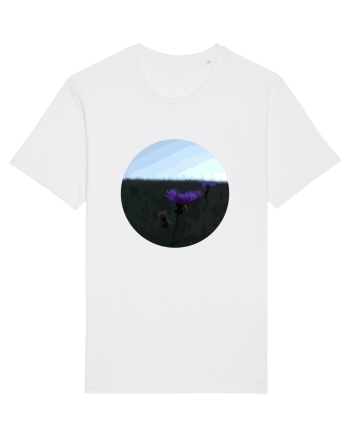 Photo Illustration - macro in the sunset 6 White