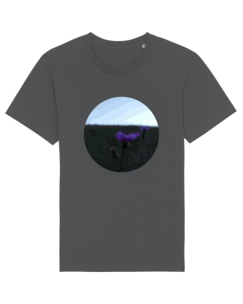 Photo Illustration - macro in the sunset 6 Anthracite