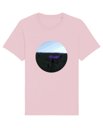 Photo Illustration - macro in the sunset 6 Cotton Pink