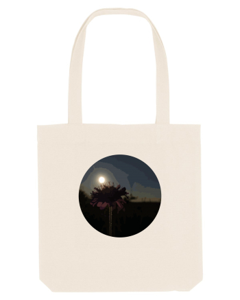 Photo Illustration - macro in the sunset 7 Natural