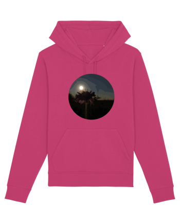 Photo Illustration - macro in the sunset 7 Raspberry