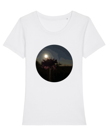 Photo Illustration - macro in the sunset 7 White