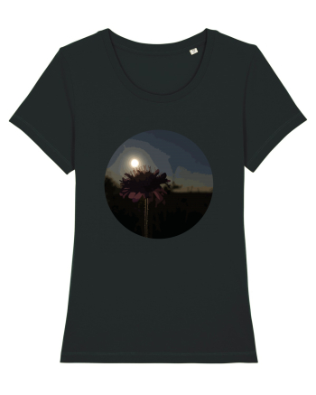 Photo Illustration - macro in the sunset 7 Black