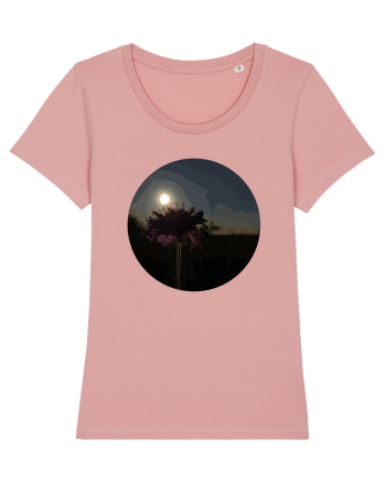Photo Illustration - macro in the sunset 7 Canyon Pink