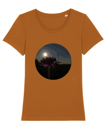 Photo Illustration - macro in the sunset 7 Roasted Orange