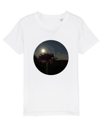 Photo Illustration - macro in the sunset 7 White