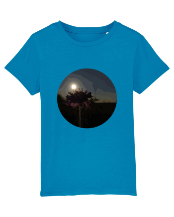 Photo Illustration - macro in the sunset 7 Azur