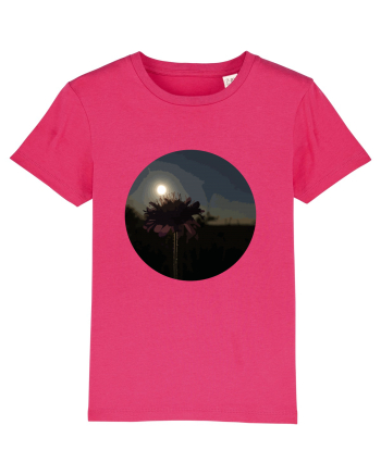 Photo Illustration - macro in the sunset 7 Raspberry