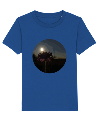 Photo Illustration - macro in the sunset 7 Majorelle Blue