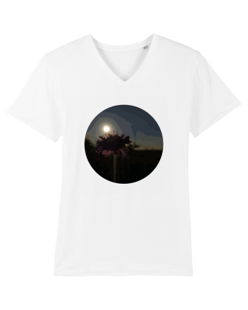 Photo Illustration - macro in the sunset 7 White
