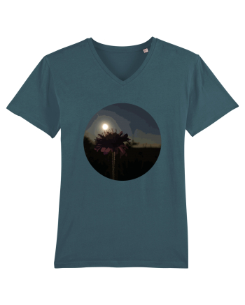 Photo Illustration - macro in the sunset 7 Stargazer