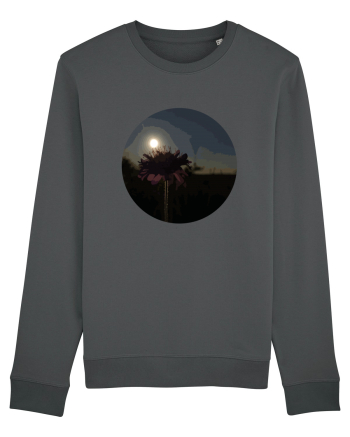 Photo Illustration - macro in the sunset 7 Anthracite