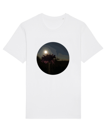 Photo Illustration - macro in the sunset 7 White