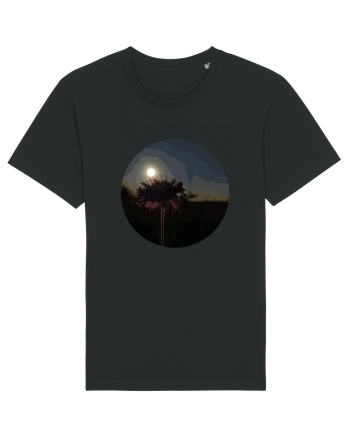 Photo Illustration - macro in the sunset 7 Black
