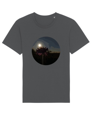 Photo Illustration - macro in the sunset 7 Anthracite