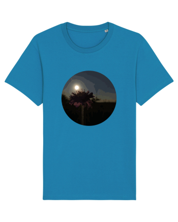Photo Illustration - macro in the sunset 7 Azur