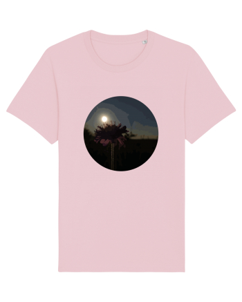Photo Illustration - macro in the sunset 7 Cotton Pink