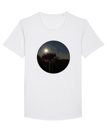 Photo Illustration - macro in the sunset 7 White
