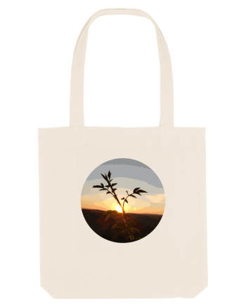 Photo Illustration - macro in the sunset 8 Natural