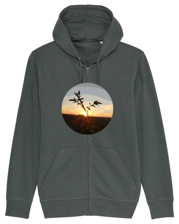 Photo Illustration - macro in the sunset 8 Anthracite