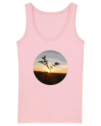Photo Illustration - macro in the sunset 8 Cotton Pink