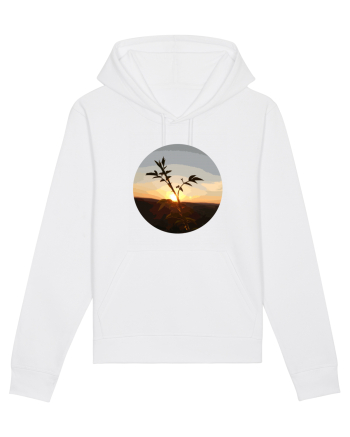 Photo Illustration - macro in the sunset 8 White