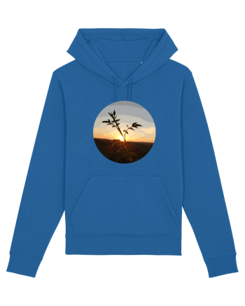 Photo Illustration - macro in the sunset 8 Royal Blue
