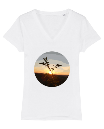Photo Illustration - macro in the sunset 8 White