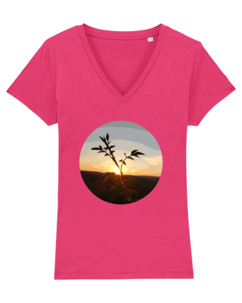 Photo Illustration - macro in the sunset 8 Raspberry