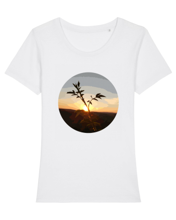 Photo Illustration - macro in the sunset 8 White