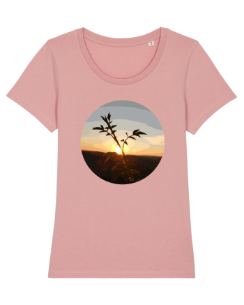 Photo Illustration - macro in the sunset 8 Canyon Pink