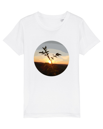 Photo Illustration - macro in the sunset 8 White