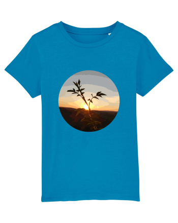 Photo Illustration - macro in the sunset 8 Azur