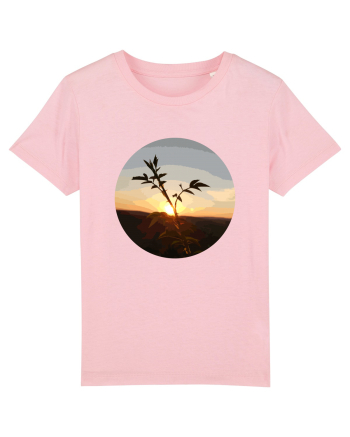 Photo Illustration - macro in the sunset 8 Cotton Pink