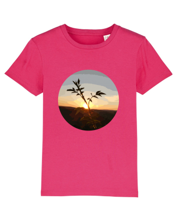Photo Illustration - macro in the sunset 8 Raspberry