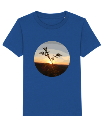 Photo Illustration - macro in the sunset 8 Majorelle Blue