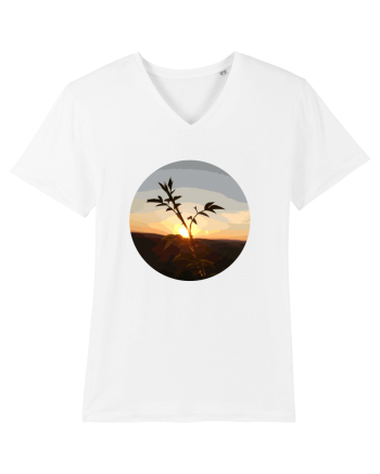 Photo Illustration - macro in the sunset 8 White