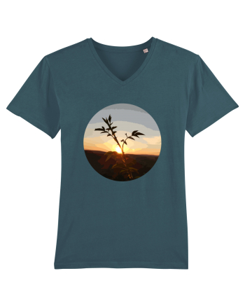 Photo Illustration - macro in the sunset 8 Stargazer
