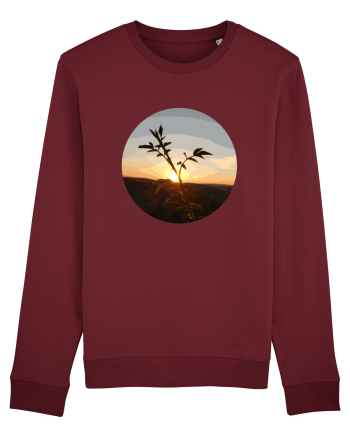 Photo Illustration - macro in the sunset 8 Burgundy