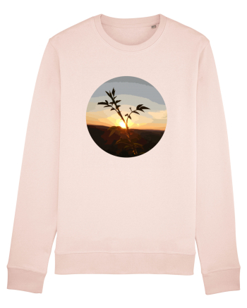 Photo Illustration - macro in the sunset 8 Candy Pink