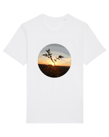 Photo Illustration - macro in the sunset 8 White