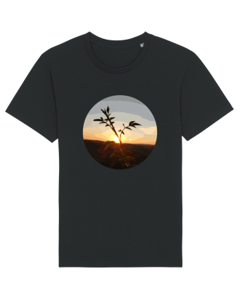 Photo Illustration - macro in the sunset 8 Black