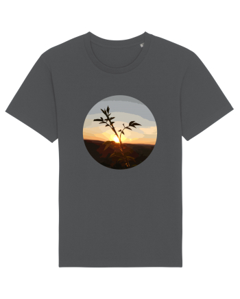 Photo Illustration - macro in the sunset 8 Anthracite