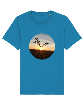 Photo Illustration - macro in the sunset 8 Azur