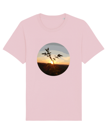 Photo Illustration - macro in the sunset 8 Cotton Pink