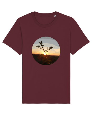Photo Illustration - macro in the sunset 8 Burgundy